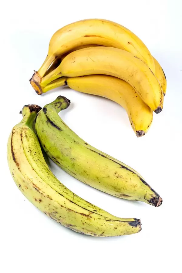 Yellow bananas and green plantain on white