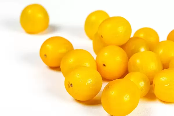 Yellow cherry tomatoes on a white background