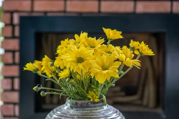 Yellow Daisy Flowers in a Plant Pot with a Tiled Stove in the Background