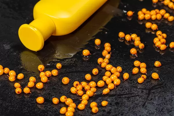 Yellow plastic bottle and fresh sea buckthorn berries on black background. The concept of natural cosmetics (Flip 2019)