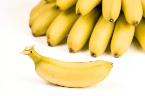 Yellow ripe banana baby with a branch of bananas behind