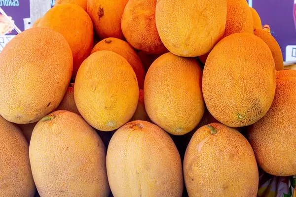 Yellow ripe melons on the market (Flip 2019)