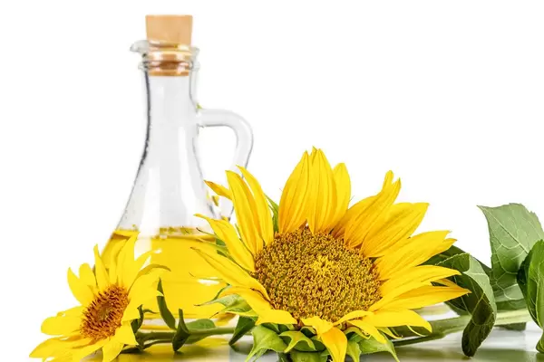 Yellow sunflower flowers and a bottle of sunflower oil