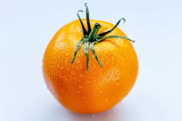 Yellow tomato on white background with water drops (Flip 2019) (Flip 2019)