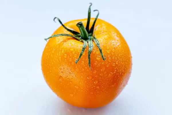 Yellow tomato on white background with water drops