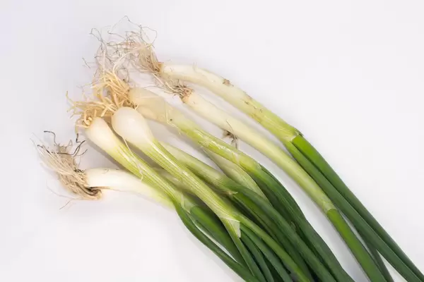 Young Onions on the white background
