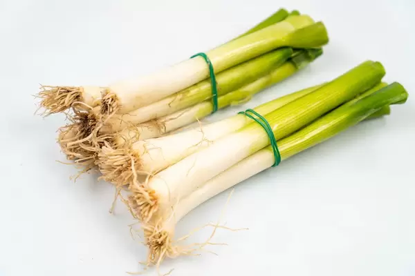 Young Onions on the white  wooden board