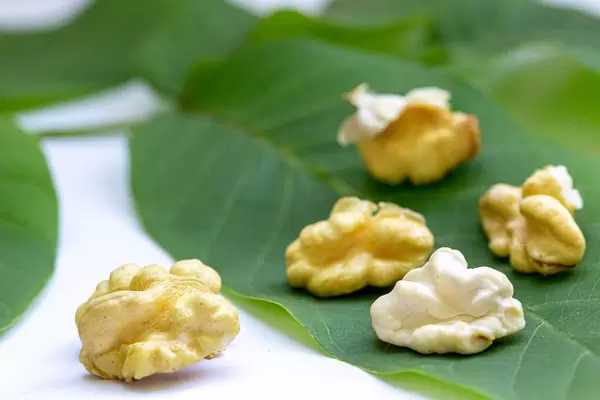 Young walnuts without the shell on green walnut leaves