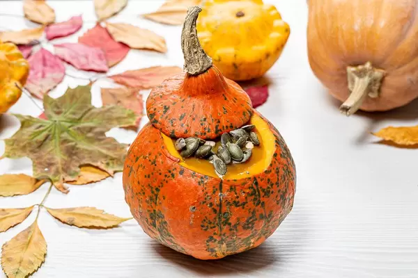 Yummy Halloween pumpkin with seeds on a white wooden background with autumn yellow leaves (Flip 2019)
