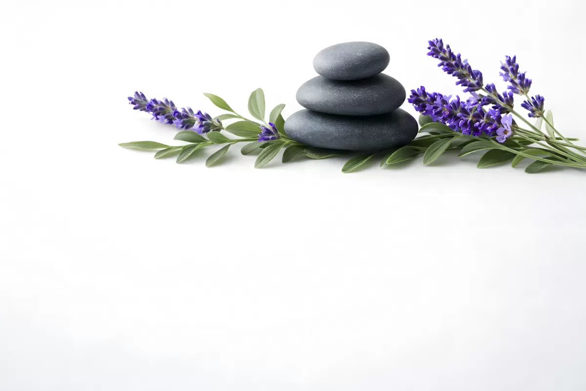 Zen-Steine mit Lavendelzweigen auf weißem Hintergrund