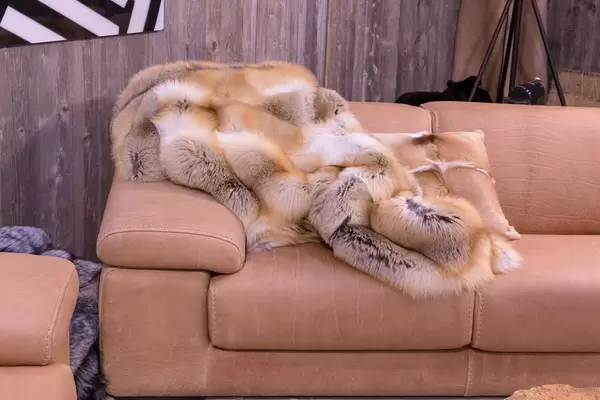 Zusammengeknüllte Decke und Zierkissen aus Pelz liegen auf braunem Ledersofa