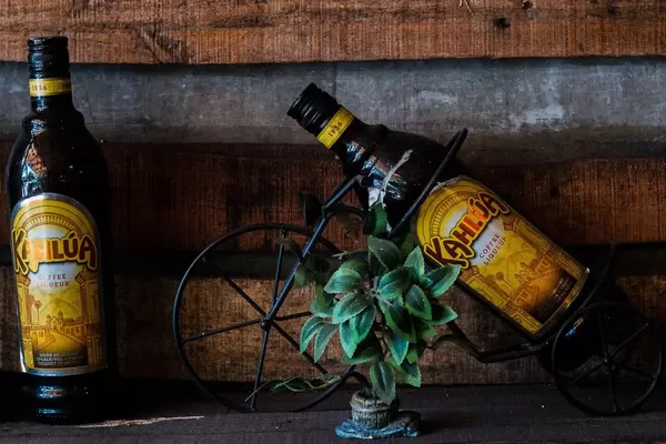 Zwei Flaschen Kahlua Kaffeelikör in Halterung vor einer Holzwand mit Mini Pflanze