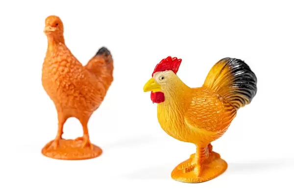 Zwei Hühner: Spielzeug aus Kunststoff für Kinder auf weißem Hintergrund