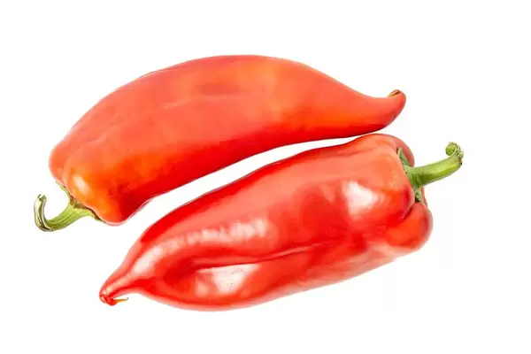Zwei rote, rohe Paprika mit Stengel, liegen isoliert vor weißem Hintergrund