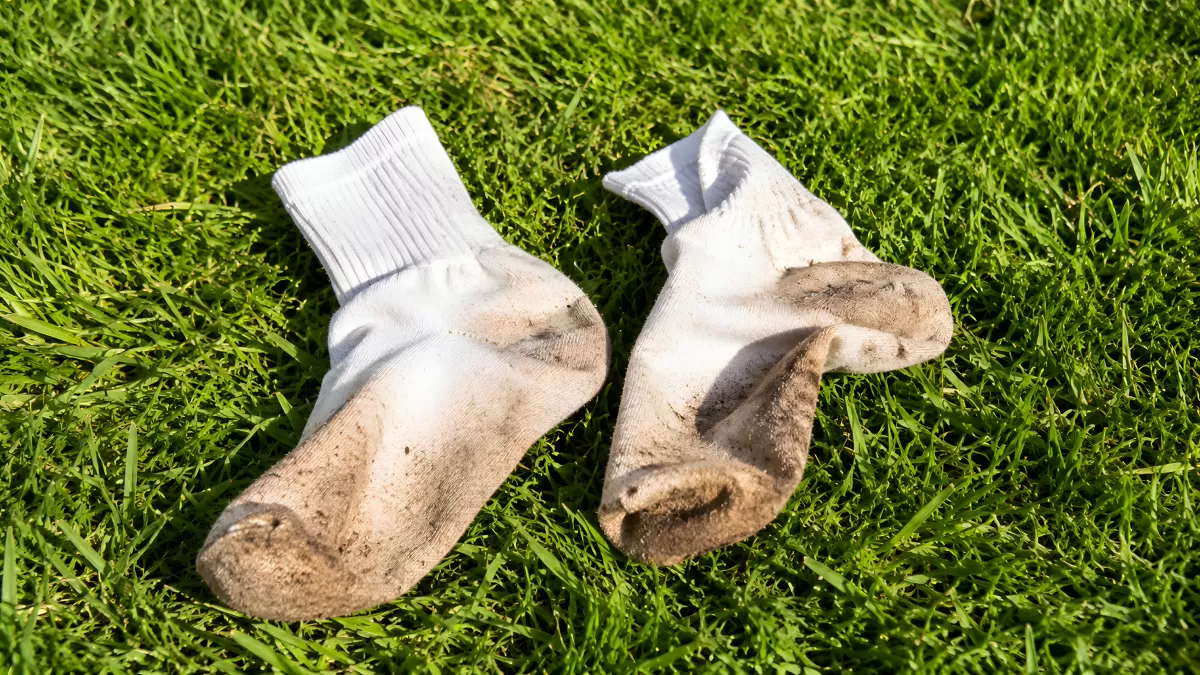 Zwei schmutzige weiße Socken liegen im grünen Gras