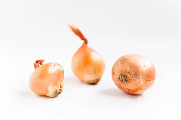 Zwiebeln / Group of Brown Onions