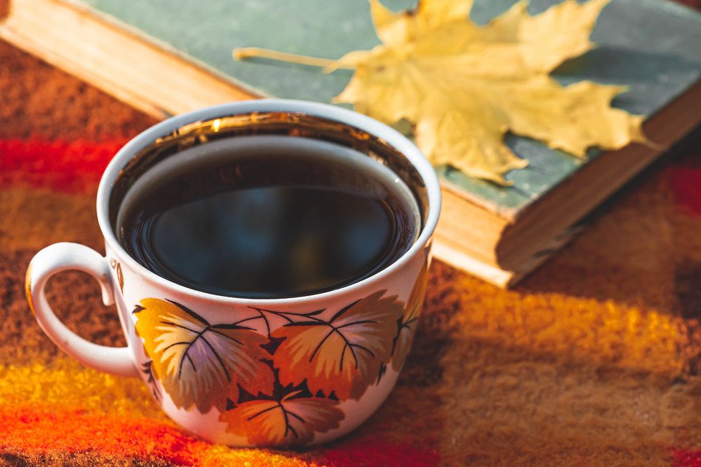 A Cup of tea with a book and a yellow maple leaf on a red plaid (Flip 2019)