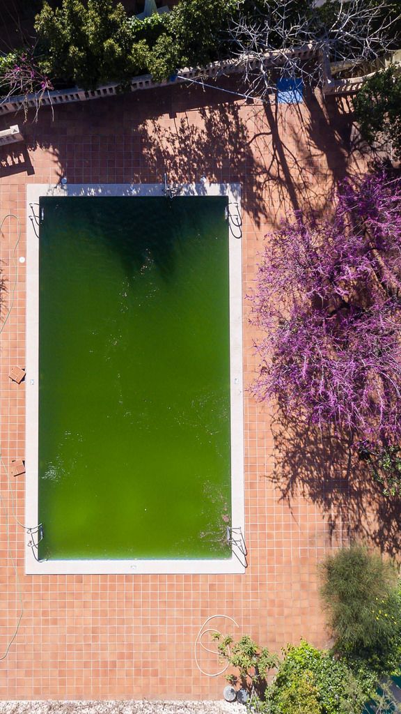 Aerial photo of an algae infested swimming pool