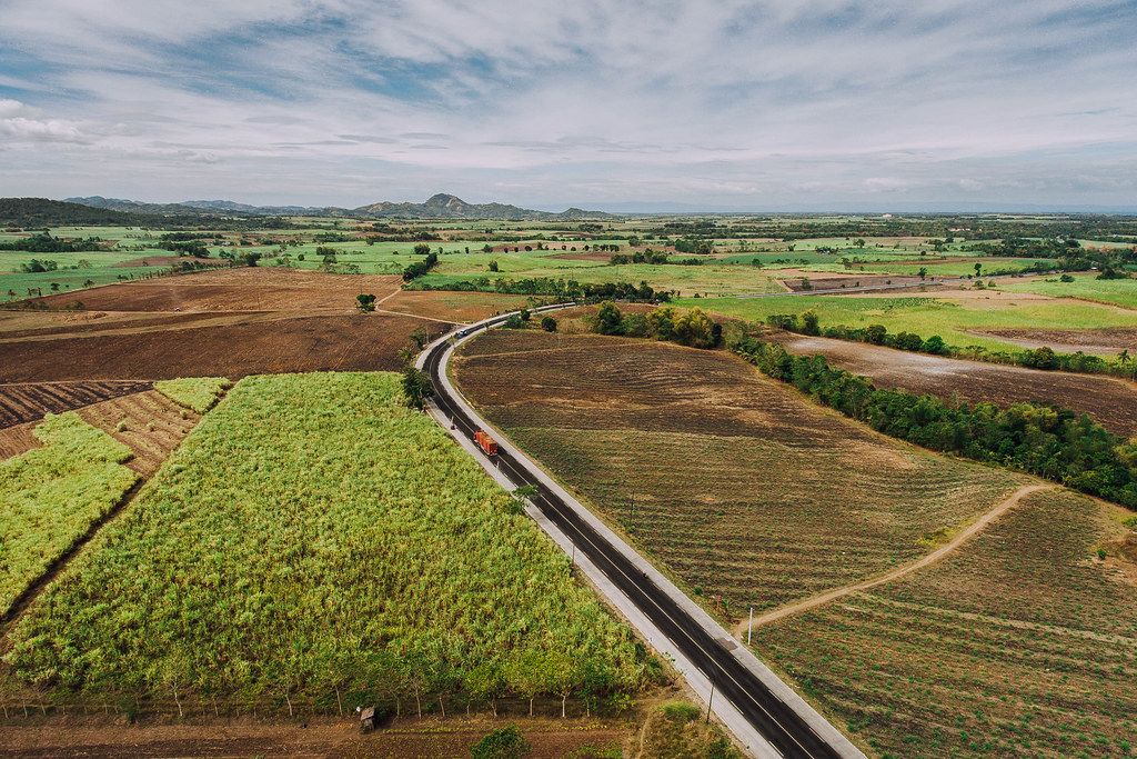 Aerial photo of sugarcane fields in Sagay (Flip 2019)