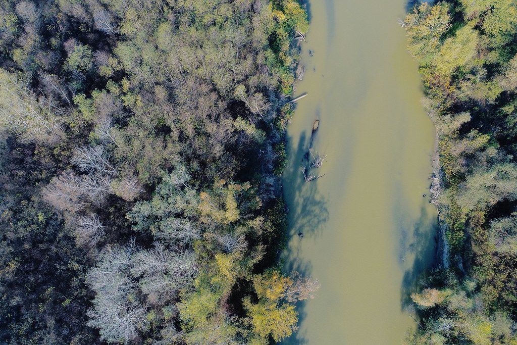 Aerial view of Arges river, trees on both sides of the river, Romania (Flip 2019)