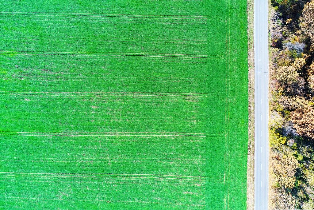 Aerial view of green field and straight road (Flip 2019)