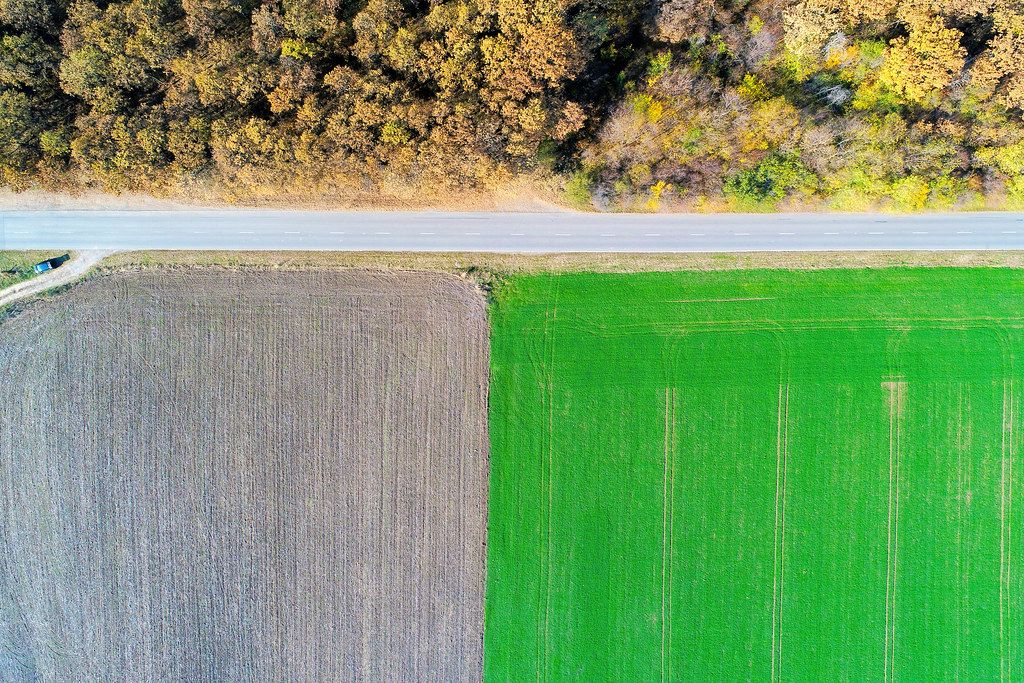 Aerial view of road between field and forest (Flip 2019)