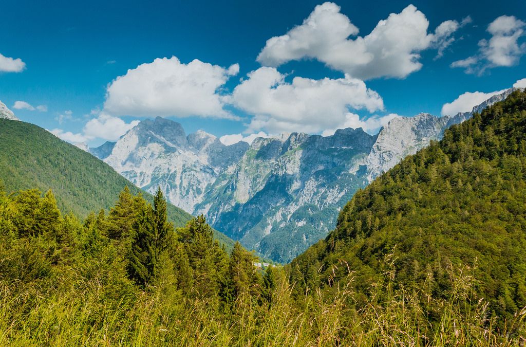 Luftafnahme Vom Tegernsee In Den Bayerischen Alpen Mit Der Stadt 