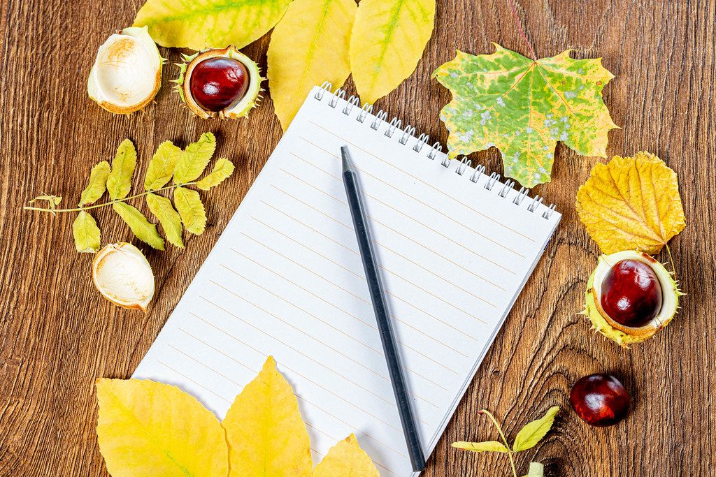 An empty notebook and a black pencil on a brown wooden background with yellow leaves and chestnuts (Flip 2019)