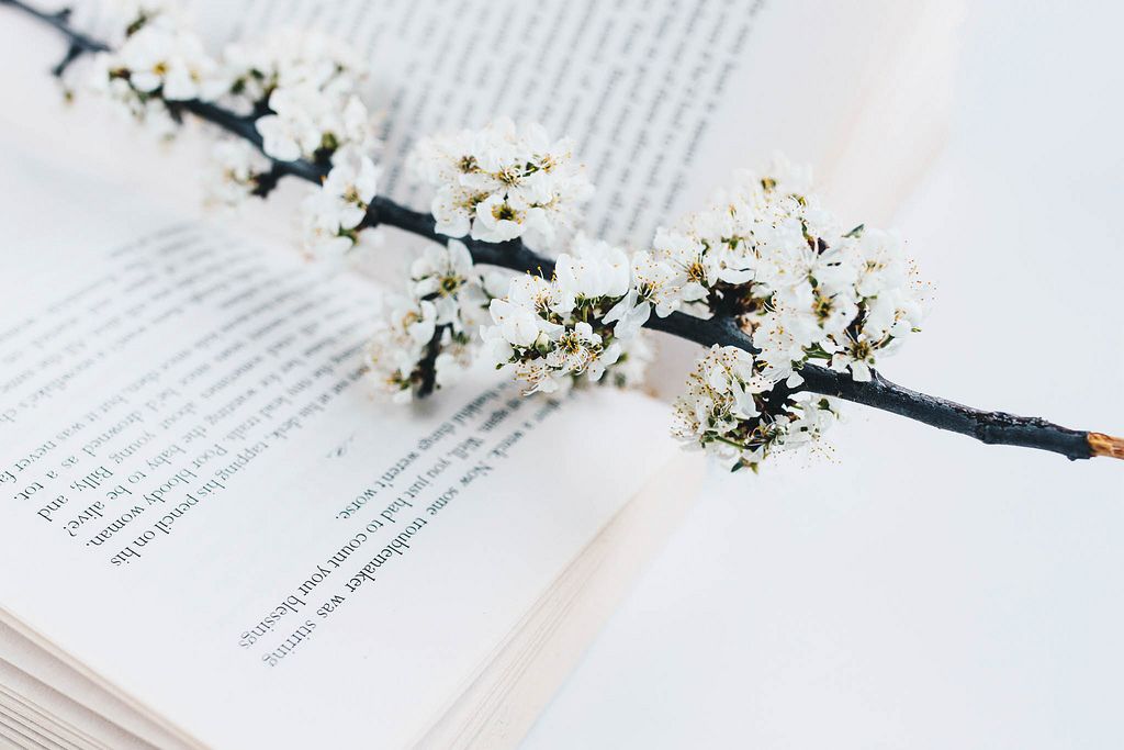 Aufgeschlagenes Buch und Frühlingsblumen