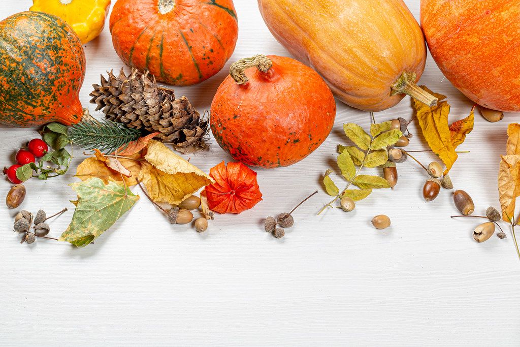 Autumn background with acorns, leaves, pumpkins on a white wooden background. Concept Halloween, harvest, thanksgiving
