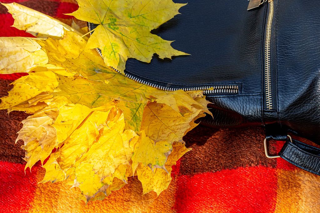 Backpack with autumn yellow maple leaves (Flip 2019)