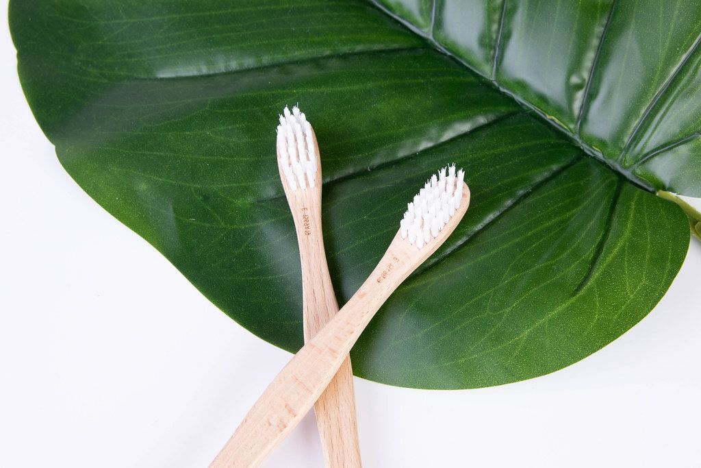 Bamboo toothbrushes on tropical leaf (Flip 2019)