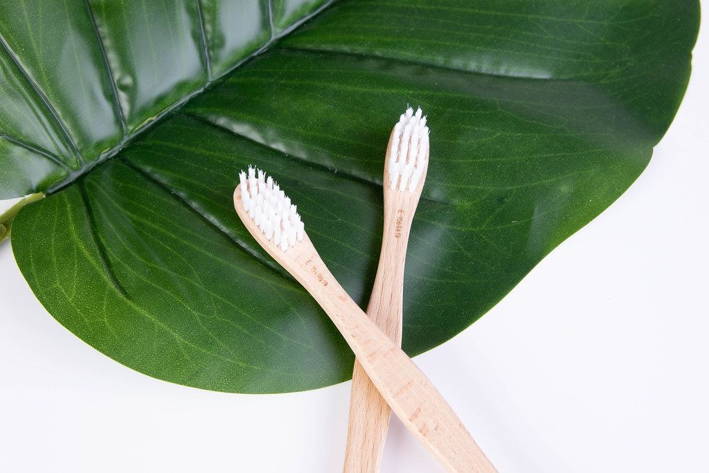 Bamboo toothbrushes on tropical leaf