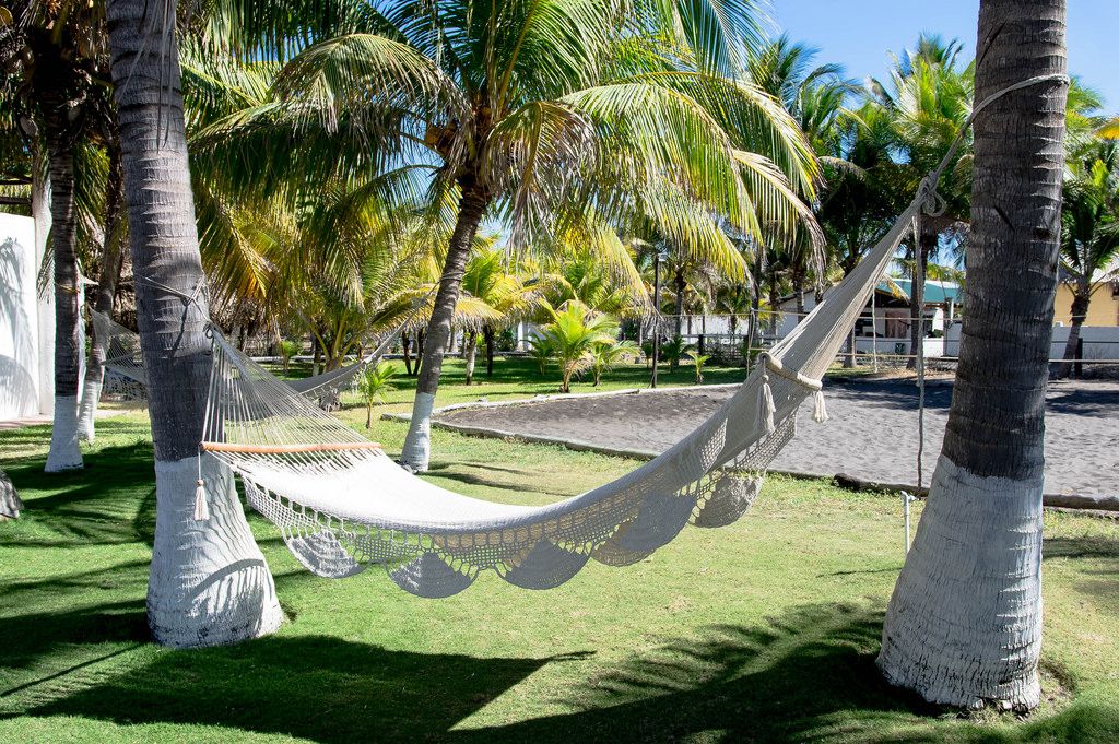 Beige beach hammocks hanging in between palm trees