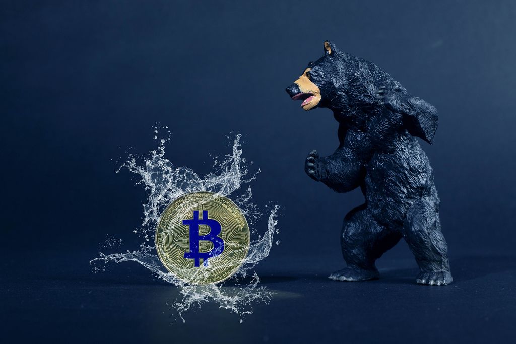 Big black bear with golden Bitcoin and water splash