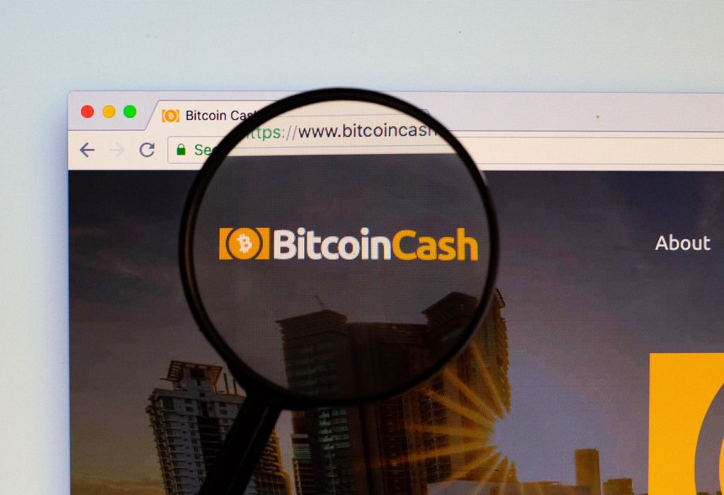 Bitcoin Cash logo on a computer screen with a magnifying glass
