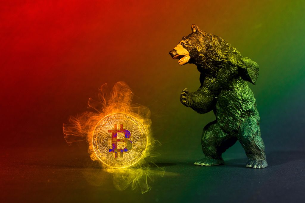 Black bear with hot Bitcoin
