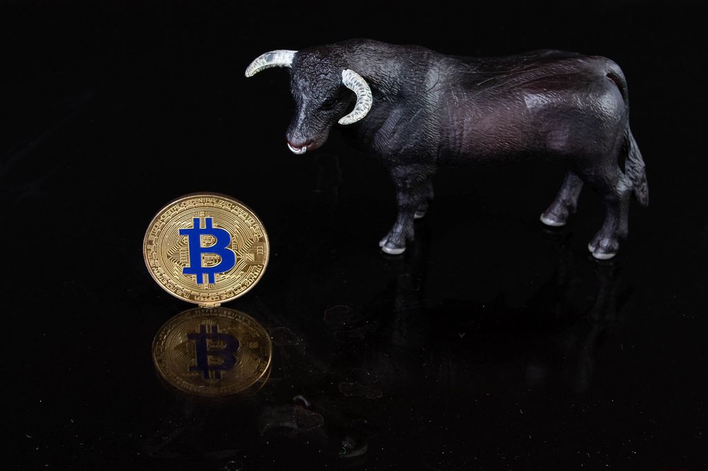 Black bull with golden Bitcoin on a black surface