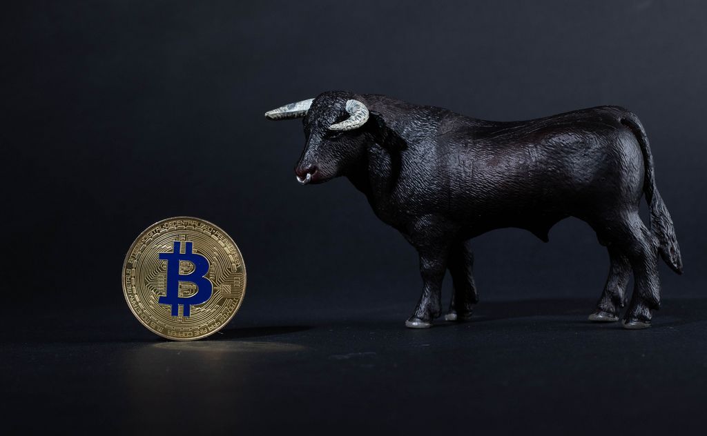 Black bull with golden Bitcoin on black background