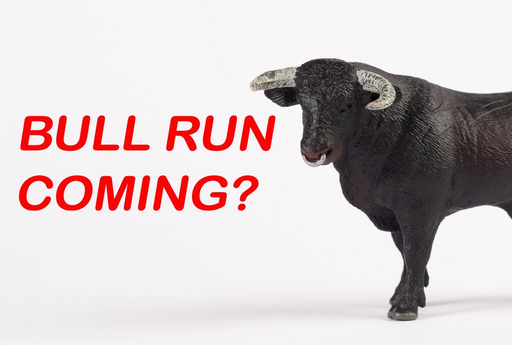 Black bull with text Bull run coming