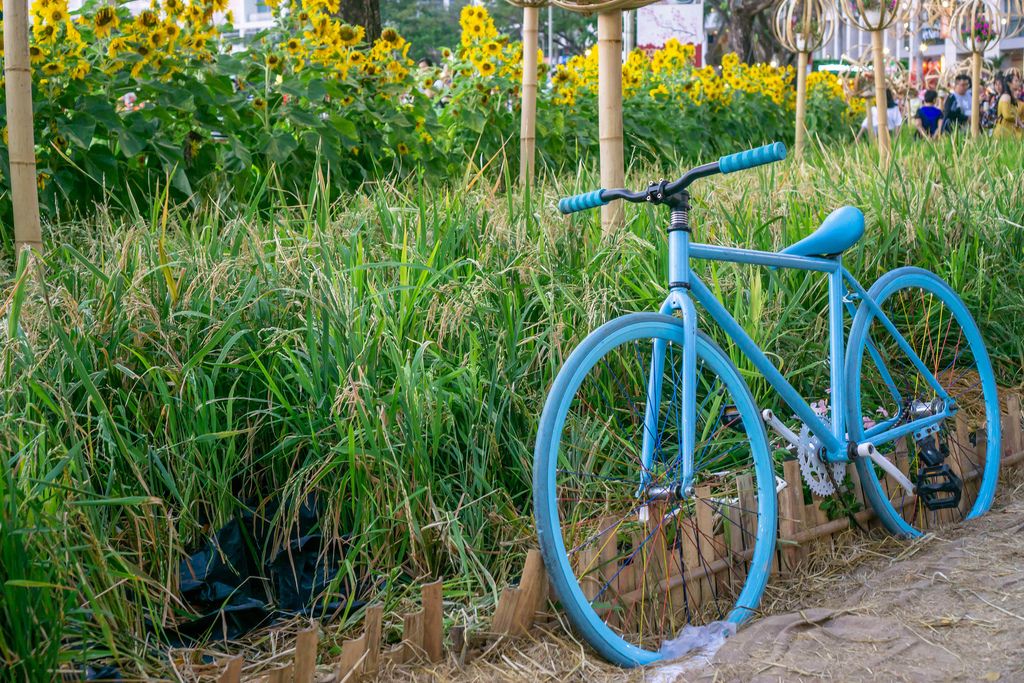 Blaues Fahrrad vor Sonnenblumenfeld in Flower Street 2019 Ho Chi Minh City, Süd-Vietnam