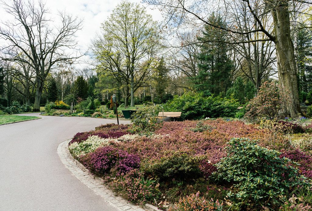 Blühende Landschaft und Blumenfeld auf dem Friedhof in Potsdam