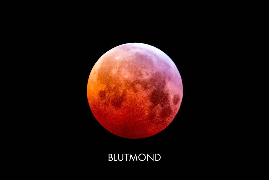 Blutmond: Nahaufnahme des roten Mondes im schwarzen Himmel