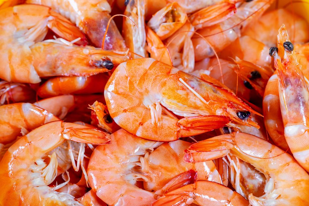 boiled shrimp seafood background - Get A Much Better Worth Of Alaska Fishing Package