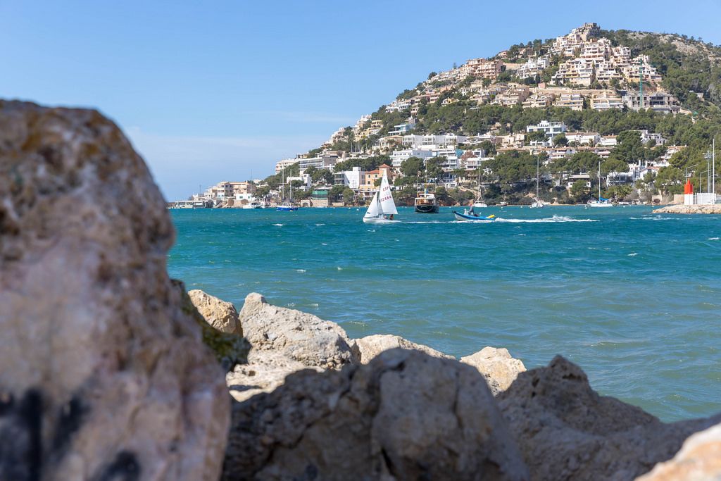 Boote auf der See und Hotels im Hintergrund - Puerto de Andraitx, Mallorca