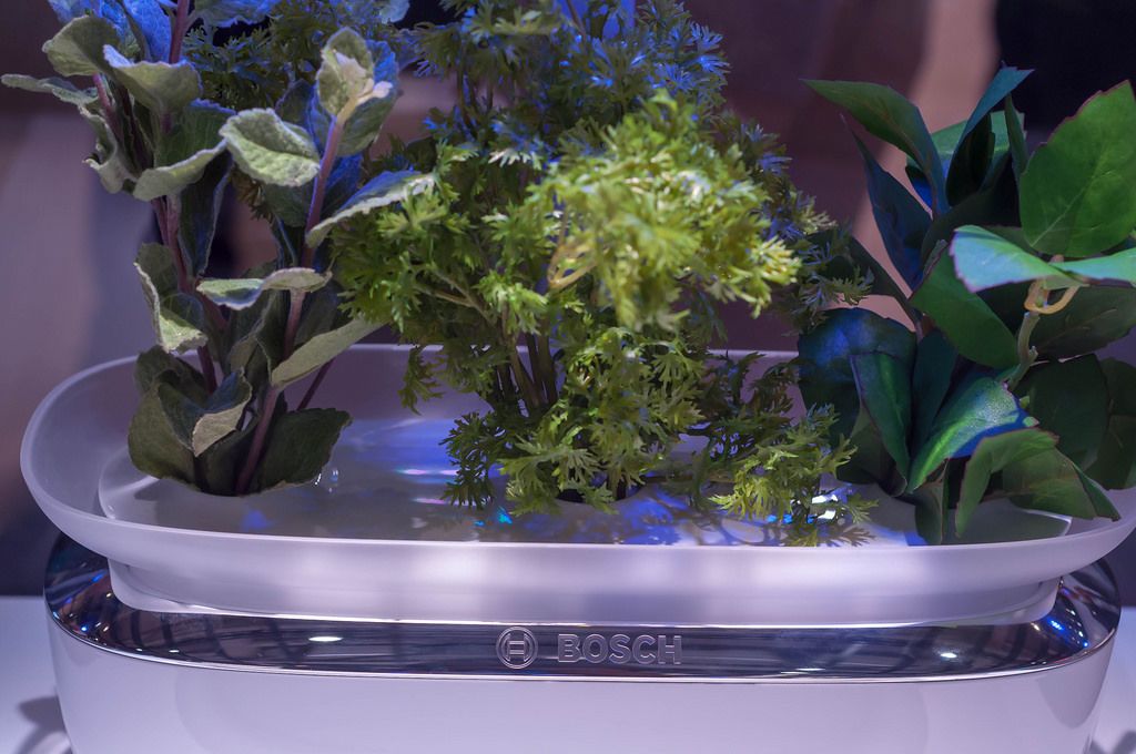Bosch SmartGrow device for indoor gardening with automatic watering and lighting