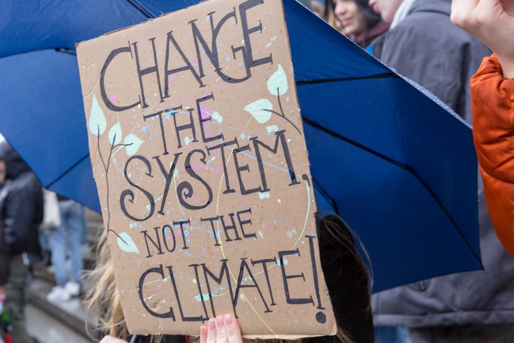'Change the system, not the climate!' - sign at Fridays For Future