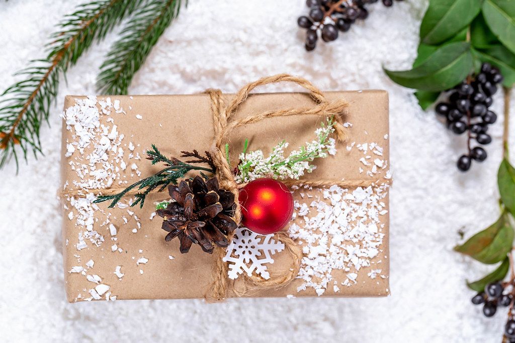 Christmas decoration: gift wrapped in beige paper with cord, a pine cone, artificial snow and a green branch