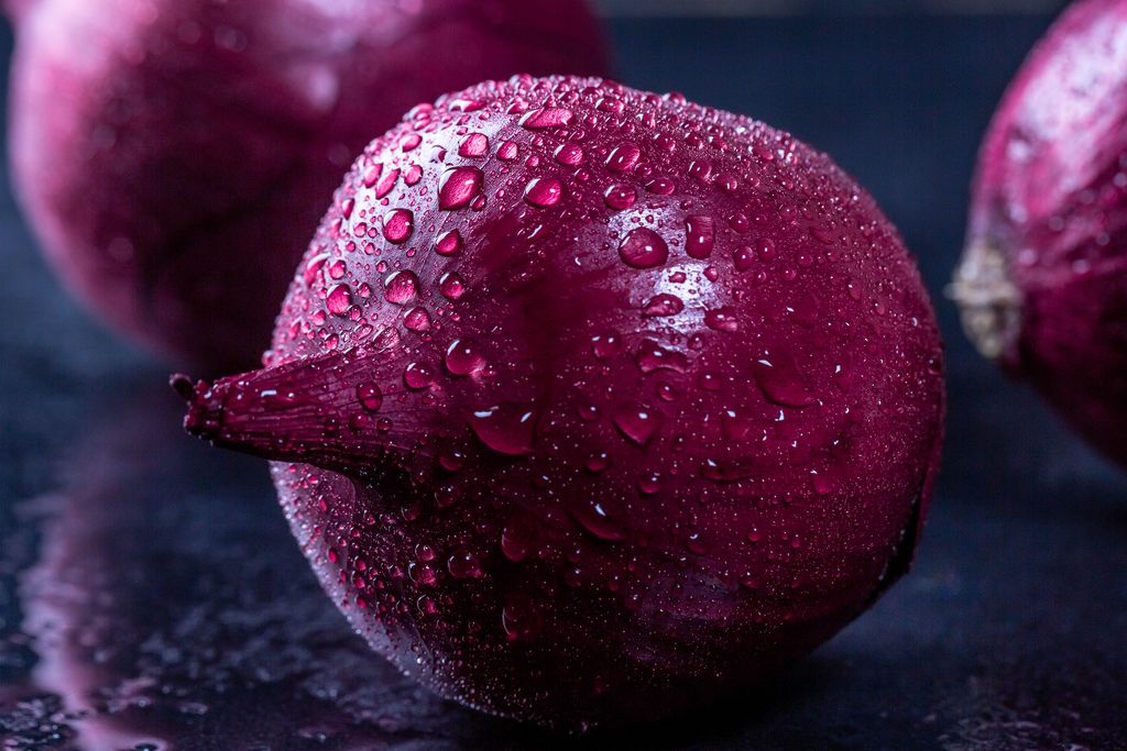 Close-up of purple onions with water drops on dark background