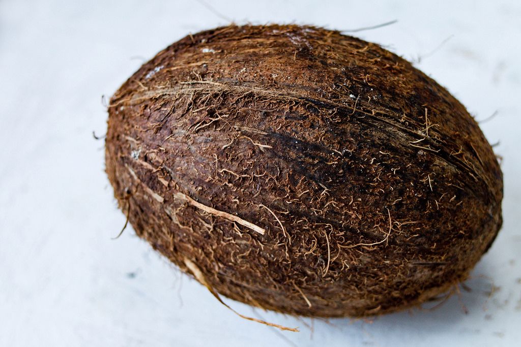 Coconut / Kokosnuss
